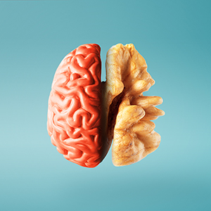 blog: Puzzelen is goed voor je brein