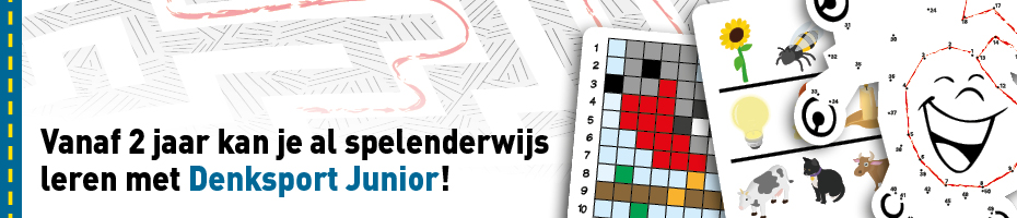 Denksport junior puzzels