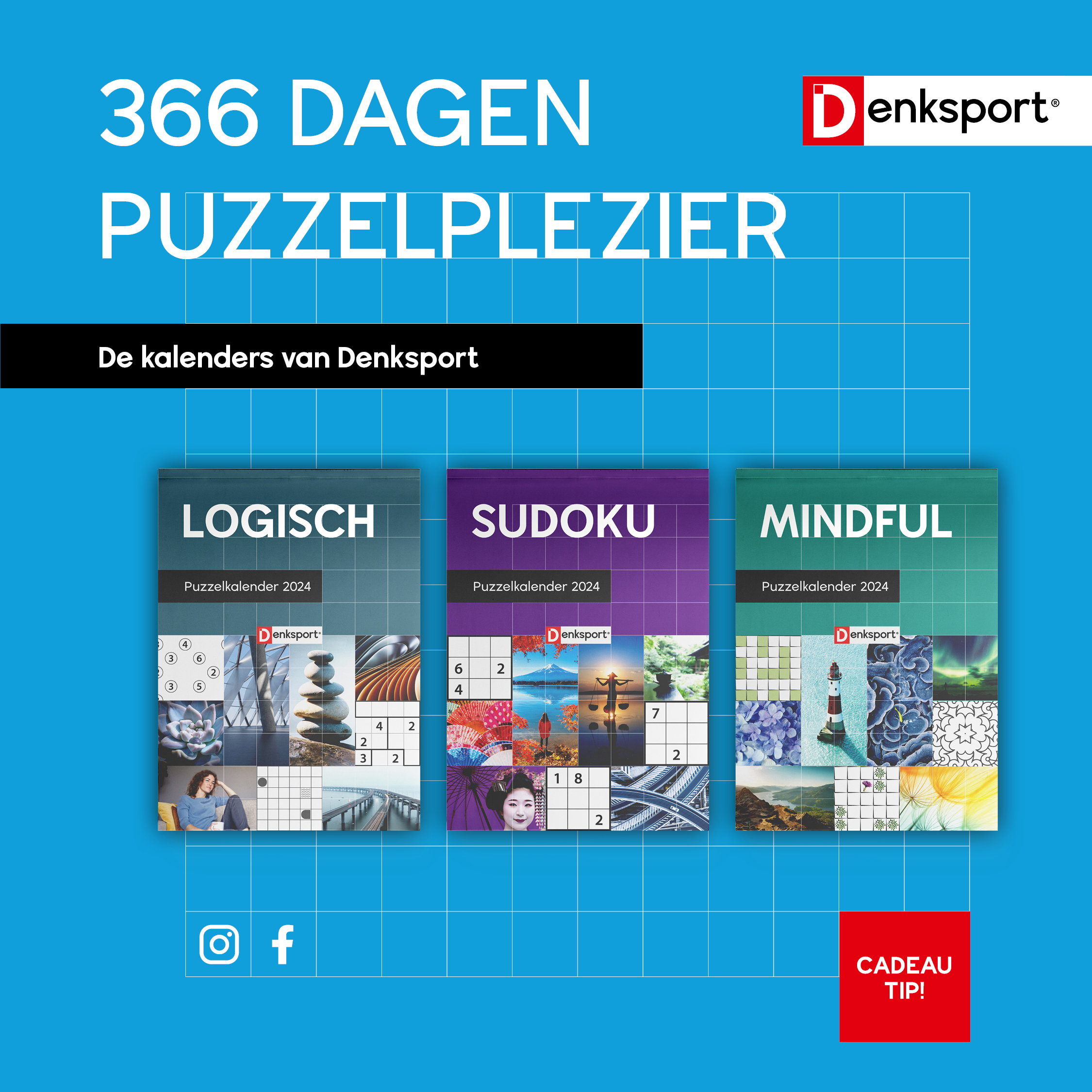 366 dagen puzzelplezier
