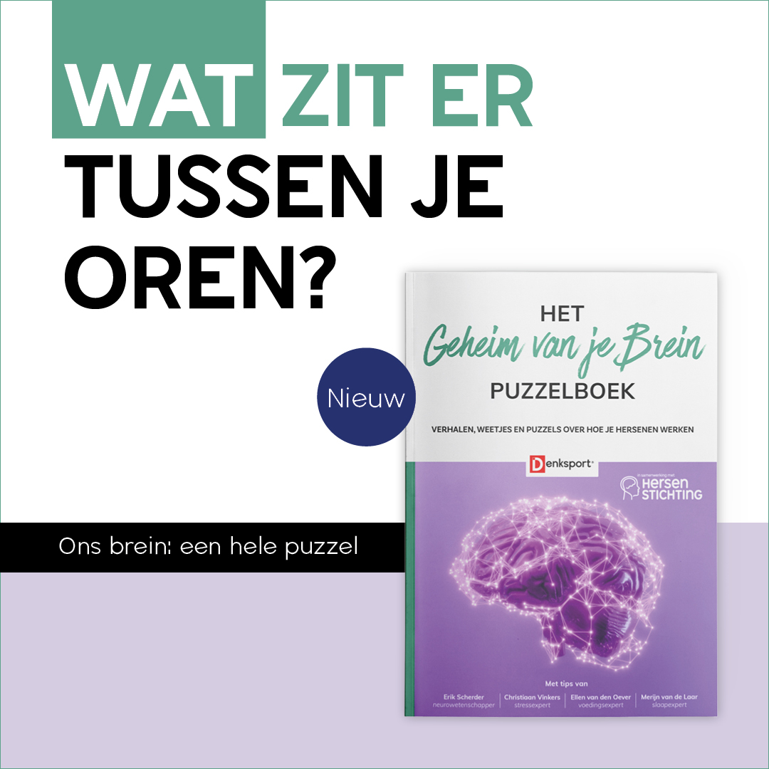 Het Geheim van je Brein Puzzelboek