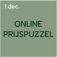 Adventkalender Denksport