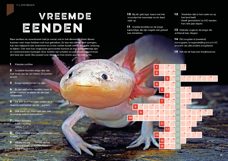 Het Pubquiz Puzzelboek